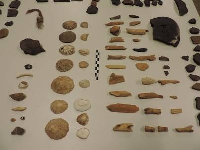 Donados restos arqueológicos benahoaritas hallados en los años 70