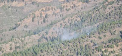El incendio forestal de Arico se encuentra estabilizado