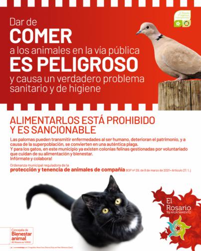 El Rosario conciencia sobre los riesgos de dar de comer a animales en la vía pública