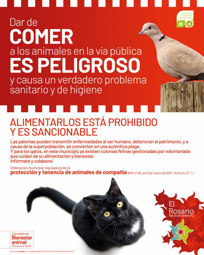 El Rosario conciencia sobre los riesgos de dar de comer a animales en la vía pública