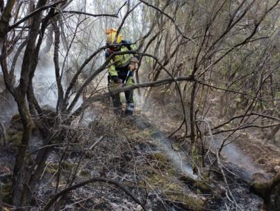 El operativo continúa centrado en contener el fuego de subsuelo y atacar las reproducciones