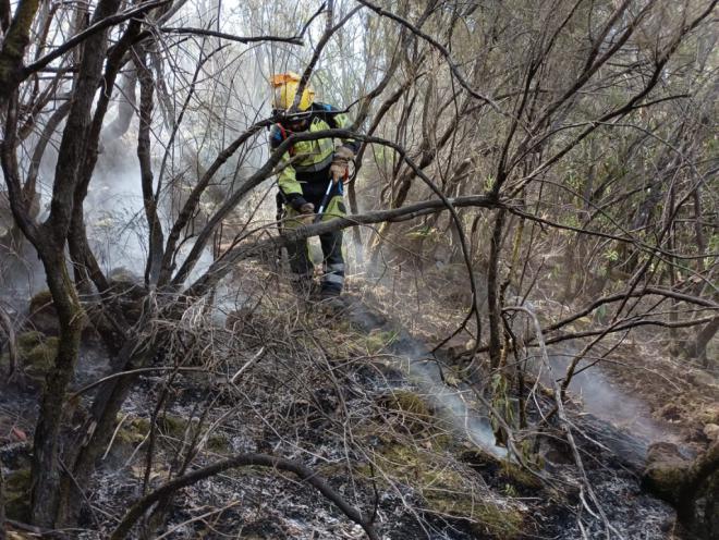 El operativo continúa centrado en contener el fuego de subsuelo y atacar las reproducciones