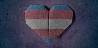 Día Internacional de Lucha por la Despatologización Trans