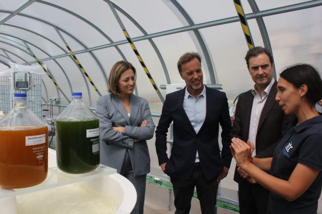El ITC y Endesa trabajan en un proyecto pionero para la captura de CO2 con microalgas