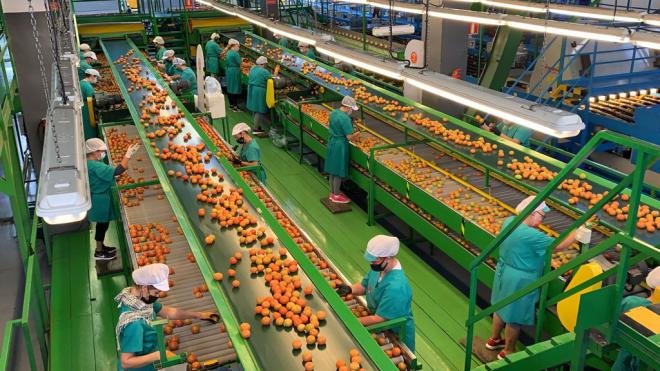 La Aldea de San Nicolás muestra su apoyo a las reivindicaciones del Sector Primario