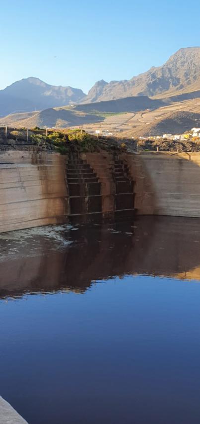 PACMA denuncia vertidos ilegales de dos macrogranjas en la Aldea de San Nicolás
