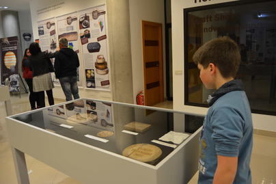 Muestra sobre la cultura quesera de La Palma en el Museo Arqueológico Benahoarita