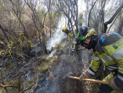 Los equipos de extinción continúan trabajando en puntos calientes y reproducciones