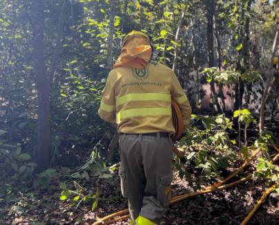 El incendio forestal de Tenerife baja a nivel 1 del INFOCA