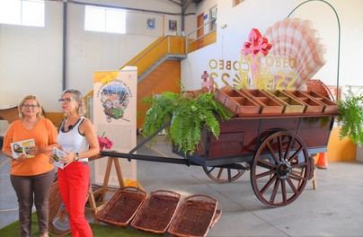 San Bartolomé de Tirajana conmemora el Año Santo Jacobeo de TUNTE 2021/2022 en la Romería del Pino