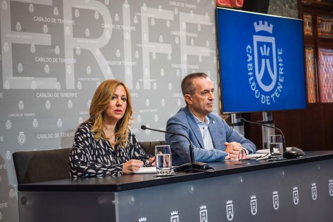 El Cabildo establece los trenes como objetivo irrenunciable