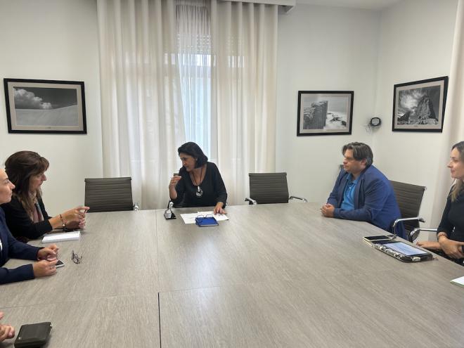 El Cabildo presenta el nuevo sistema transporte a demanda en Güímar, Fasnia y Arico