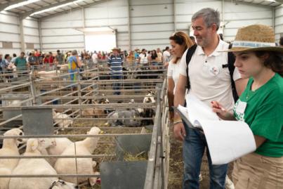 Clavijo tacha al Gobierno canario de “cicatero” con el sector primario