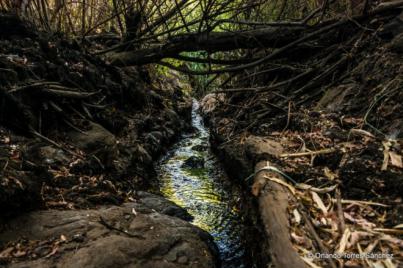 Advierten de un posible colapso hídrico en Canarias