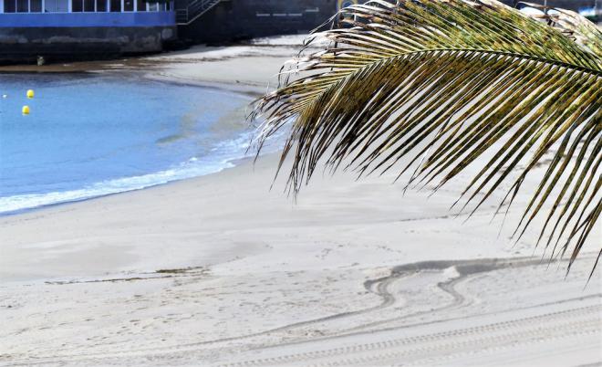 Reflexiones desde mi ventana