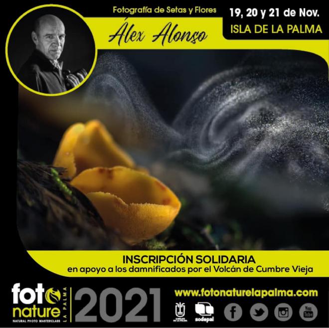 Fotonature cierra 2021 con un taller solidario que entremezcla el arte de la fotografía con la ciencia de la micología