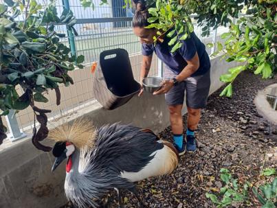 Santa Cruz apela a la responsabilidad ciudadana tras la creciente aparición de especies exóticas
