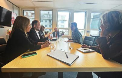 Canarias aborda con la Comisión Europea la posibilidad de un nuevo marco legislativo eléctrico