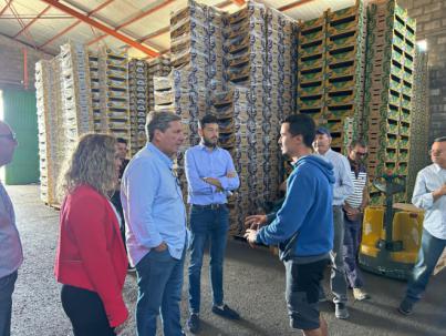 Gabriel Mato y el PP reafirman en La Gomera su compromiso con el sector platanero