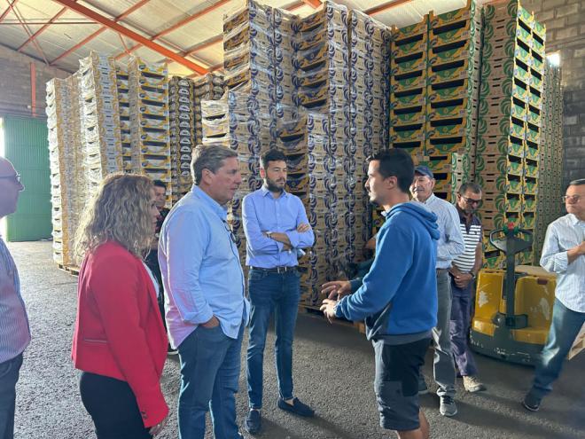 Gabriel Mato y el PP reafirman en La Gomera su compromiso con el sector platanero