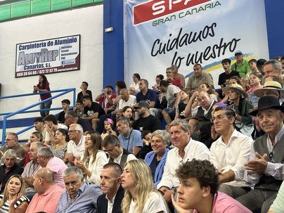 Mato pide que la Lucha Canaria se beneficie de las ayudas europeas