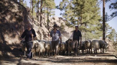 La Reserva de la Biosfera actualiza su Plan de Acción hasta 2025