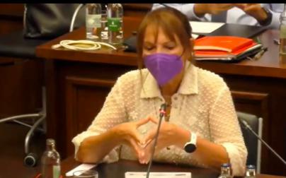 Es “inaceptable” que PSOE, NC y Unidas Podemos voten en contra en el Cabildo para la creación de una red de playas caninas en la isla