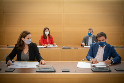 El PP, preocupados con el nuevo borrador del Plan de Uso y Gestión del Parque Nacional del Teide