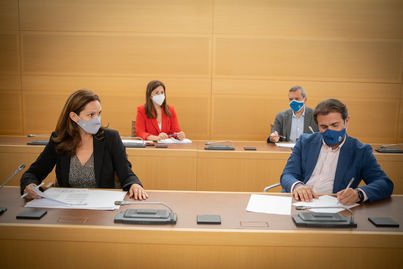 El PP exige al Cabildo el liderazgo necesario para que Tenerife deje de producir energía cara y contaminante