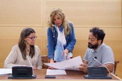 Sí Podemos Canarias rechaza declarar el interés insular de un proyecto privado en Granadilla