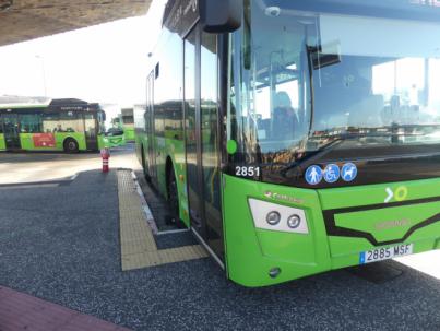 Drago Verdes Canarias propone aumentar las frecuencias de las lanzaderas de la ULL