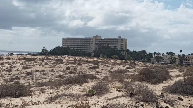 Drago Canarias denuncia presiones a los trabajadores del hotel Oliva Beach