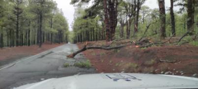 Cabildo de El Hierro desactiva el Plan Insular de Emergencias por la mejora meteorológica