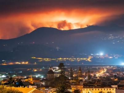BPW Canarias reivindica al Gobierno que contemple el delito de ecocidio