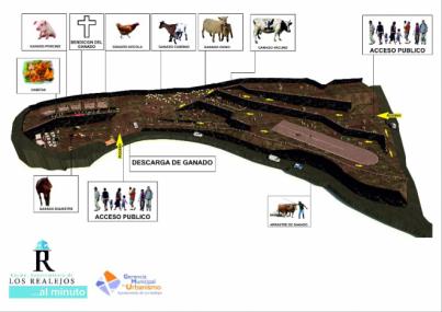 Los Realejos creará un espacio ferial de ganado en La Cruz del Castaño