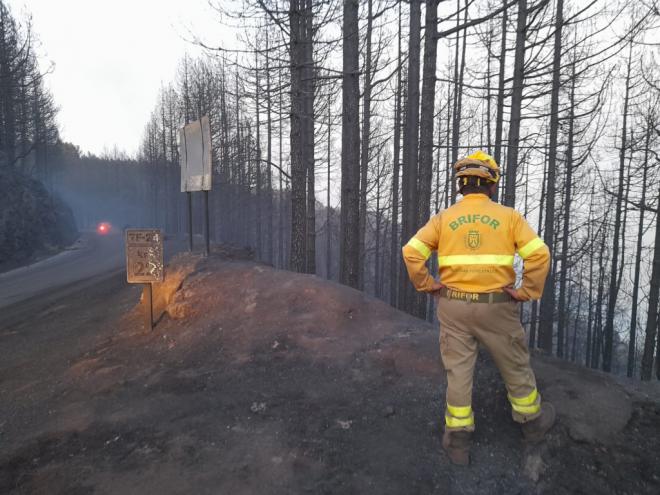 Dos millones de euros al plan de empleo de las zonas afectadas por el incendio
