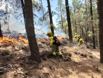 El Cabildo mantiene a más de un centenar de personas en las labores de extinción del incendio