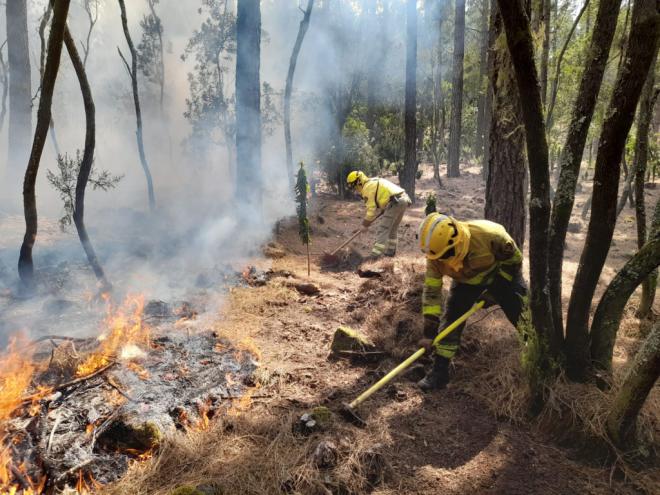 El Cabildo recuerda la prohibición de transitar por la zona afectada por el incendio forestal