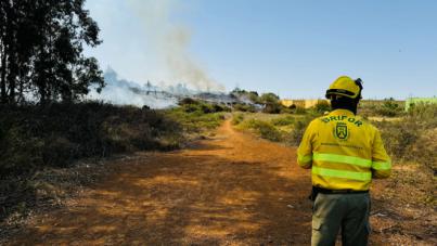 El Cabildo da por controlados los incendios de El Rosario y Los Realejos