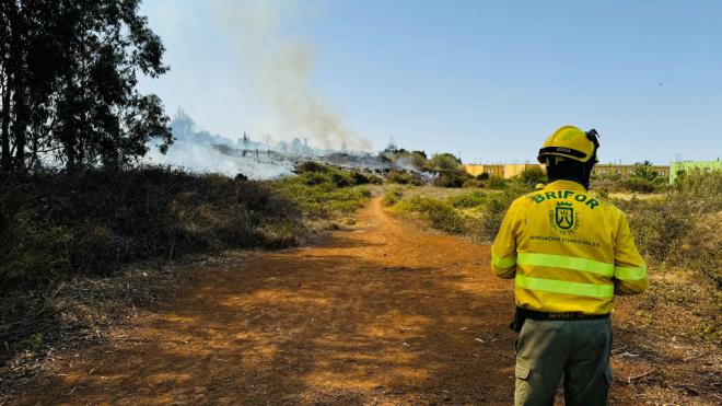 El Cabildo da por controlados los incendios de El Rosario y Los Realejos