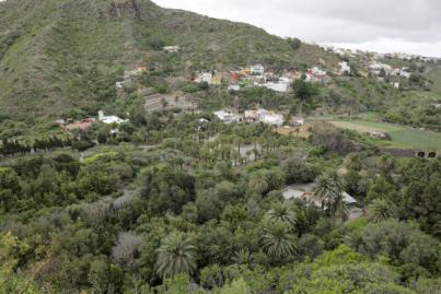 El Jardín Canario celebra el “Mes de la Ciencia” destacando el papel de la investigación para la toma de decisiones