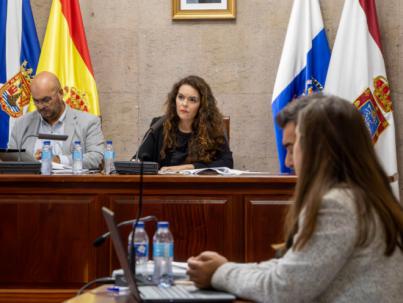 El Pleno de Granadilla rechaza la declaración del aeropuerto como zona sensible