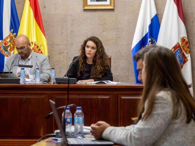 El Pleno de Granadilla rechaza la declaración del aeropuerto como zona sensible