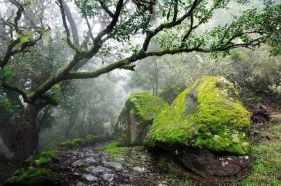 El sendero de Jinama propuesto para el Concurso Smartphone Fototrek Isla de El Hierro