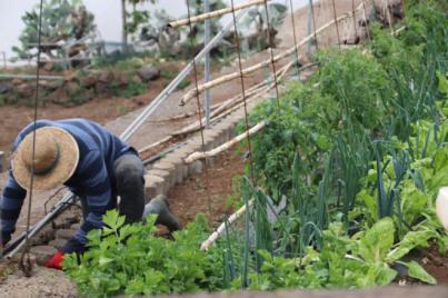 El Gobierno impulsa el relevo generacional en el campo, con la concesión de ayudas a jóvenes agricultores