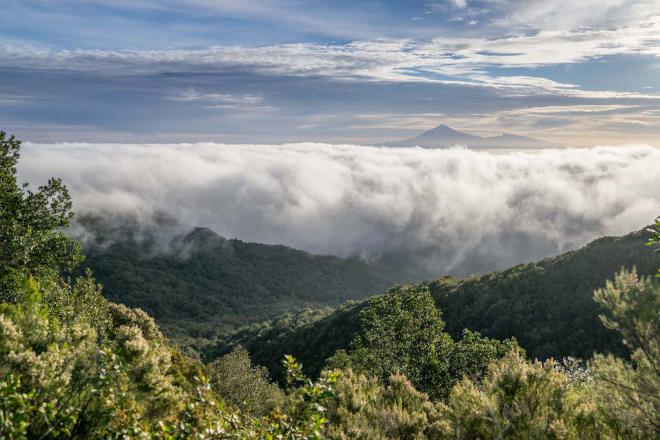 La Gomera conmemora su undécimo aniversario como Reserva de la Biosfera