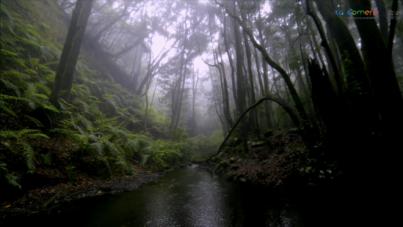 La Gomera cumple 10 años como Reserva de la Biosfera y será sede del Comité Español del programa MaB
