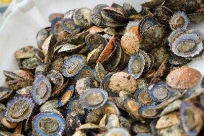 El Mercado del Agricultor estrena punto de venta de pescado en el V aniversario de su apertura en Valle San Lorenzo