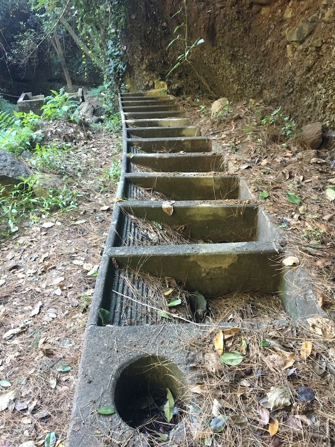 Caminando tras las aguas en La Palma