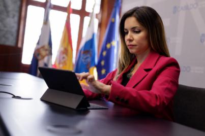 El Cabildo aprueba un plan para impulsar las relaciones comerciales con África occidental